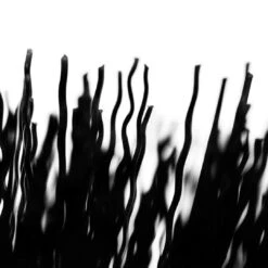 Muc-Off Tyre & Cassette Brush -Komponenten Store 59203798 05dGUdIdb2ZRGHv 1280x1280